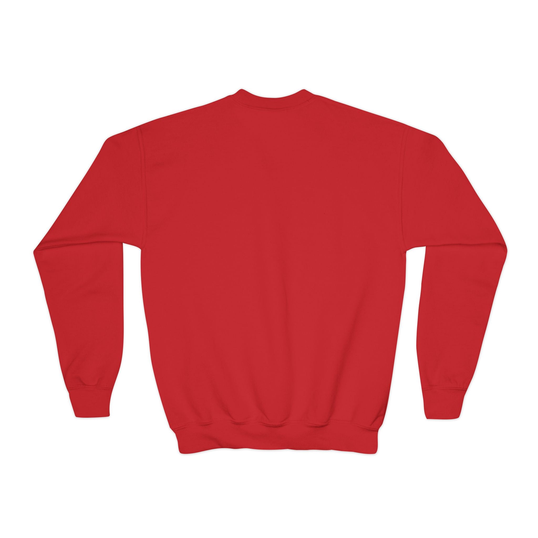Mikecrack Youth Crew Neck Sweatshirt