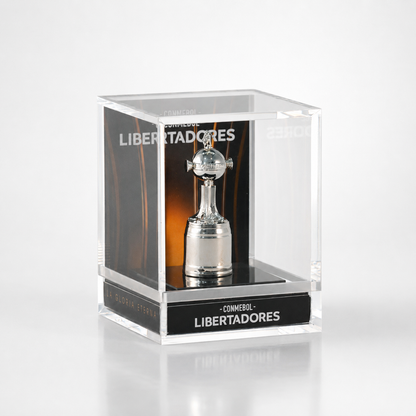 Conmebol Libertadores Acrylic Box Trophy Replica | Official Football Display