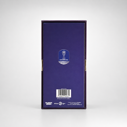 Conmebol Sudamericana Championship Trophy Replica | Official Football Display